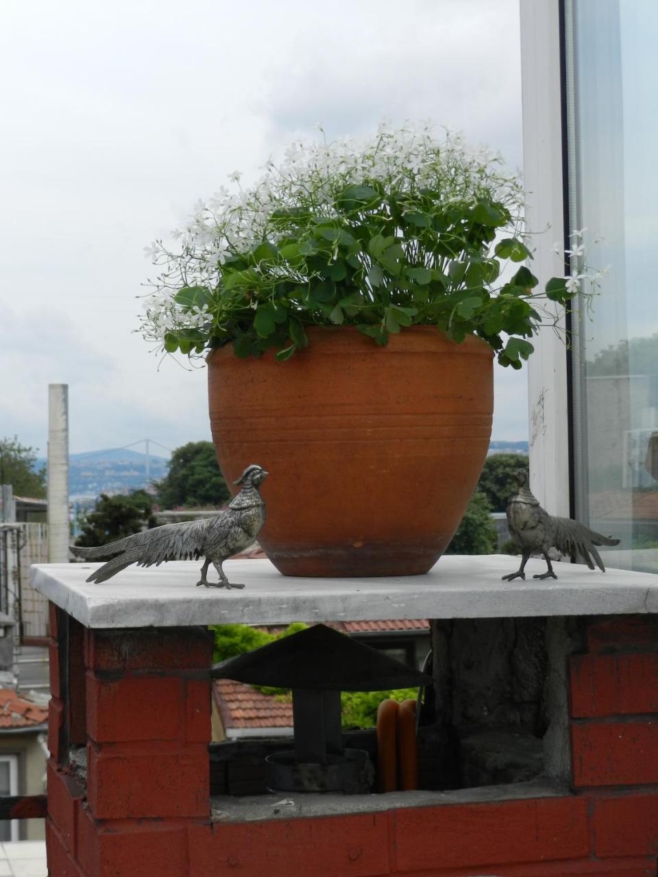 BERK GUESTHOUSE — ISTANBUL — фотография отеля №8