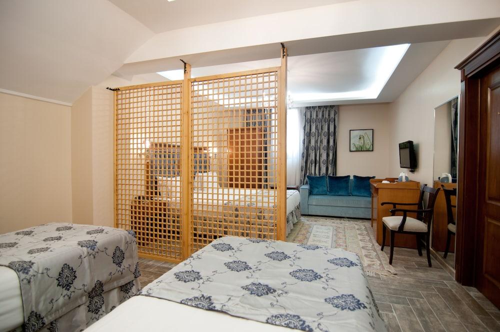 ALA SOFIA HOTEL — ISTANBUL — fotografie hotel nr. 11