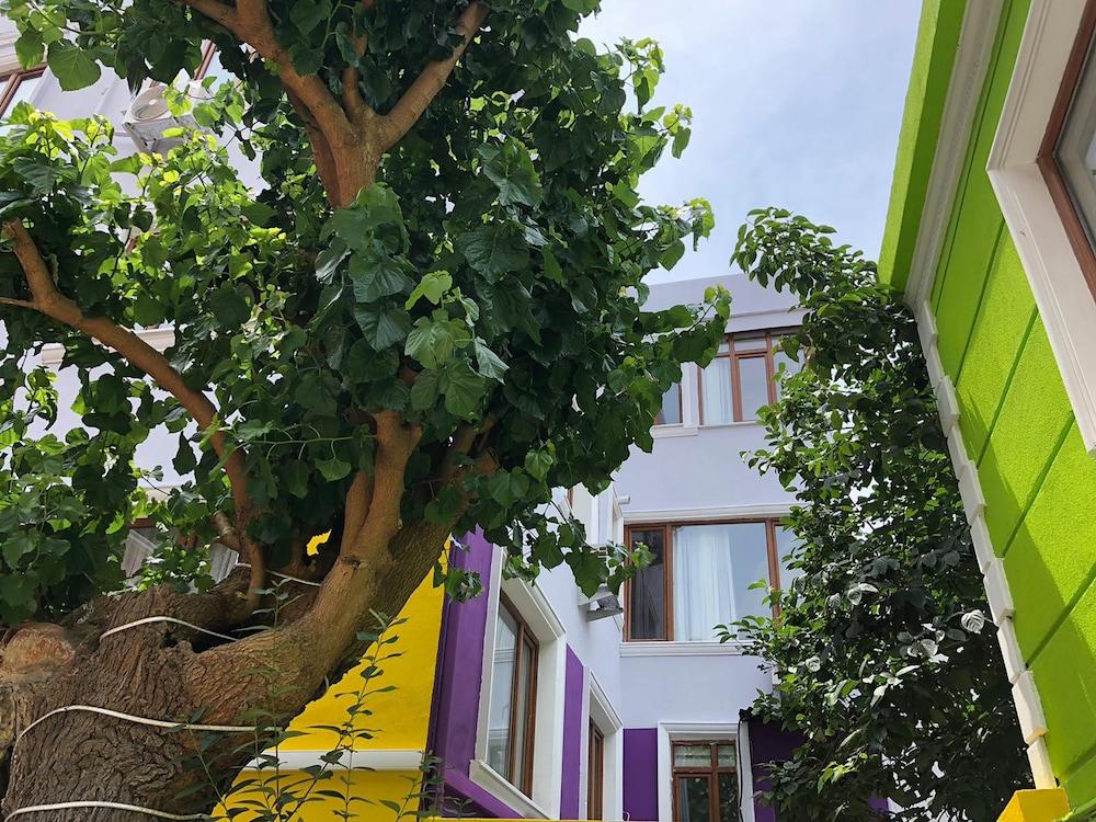 THE ZANADU ISTANBUL — ISTANBUL — fotografie hotel nr. 38
