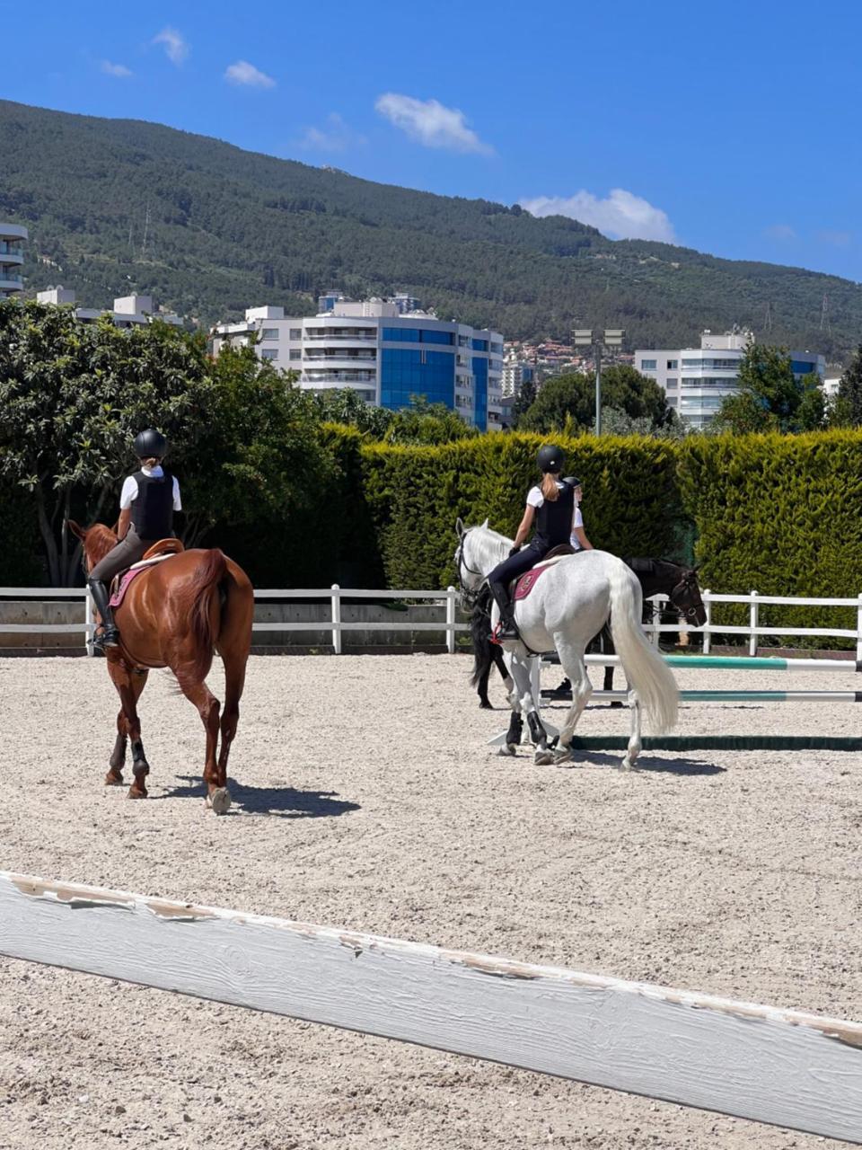 B. EQUINE RANGE HOTEL — IZMIR — fotografie hotel nr. 16