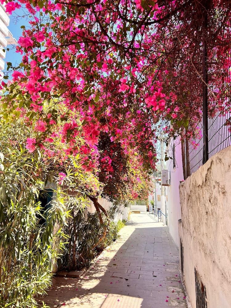 TIANA BUTIK OTEL — BODRUM — fotografie hotel nr. 35