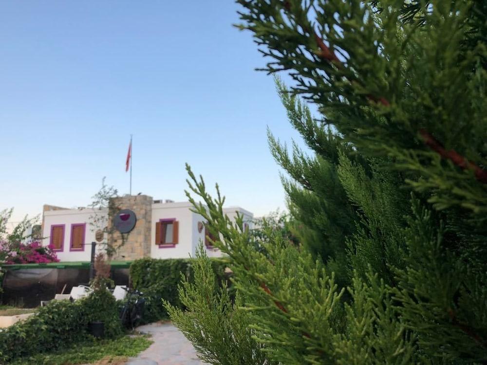 PEPECURA BODRUM — BODRUM — fotografie hotel nr. 31