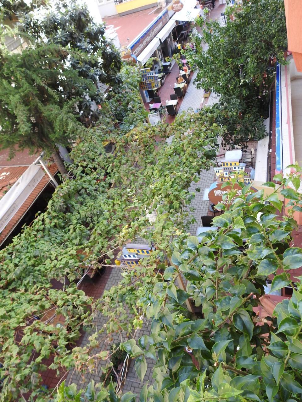 MUSTI APART HOTEL — ALANYA — fotografie hotel nr. 20