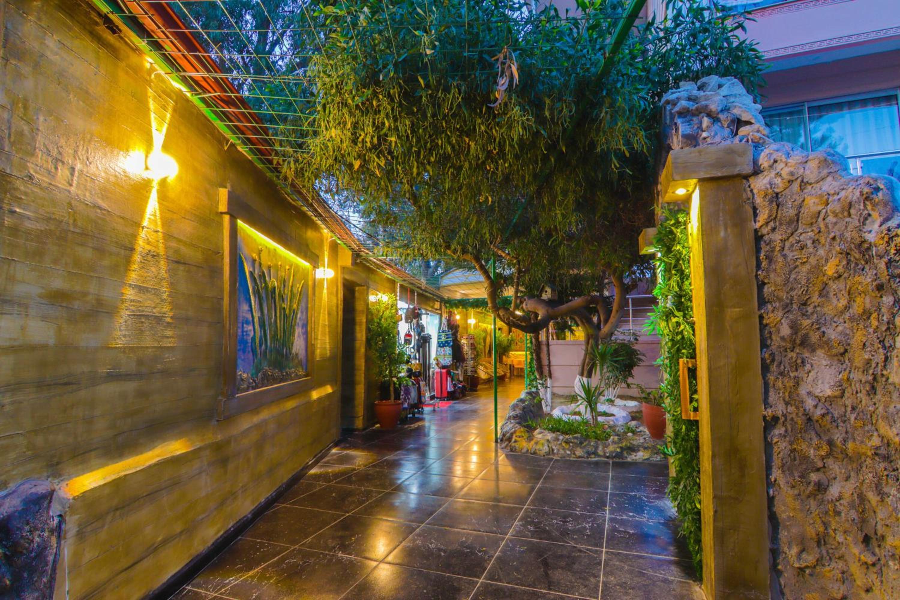 APERION BEACH HOTEL — KIZILOT — fotografie hotel nr. 30