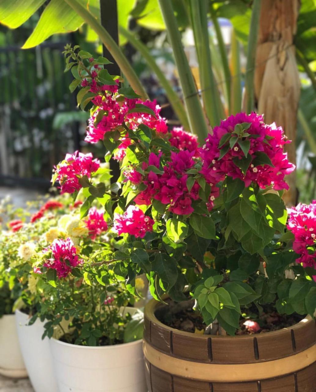 ARTUNC — BODRUM — fotografie hotel nr. 16
