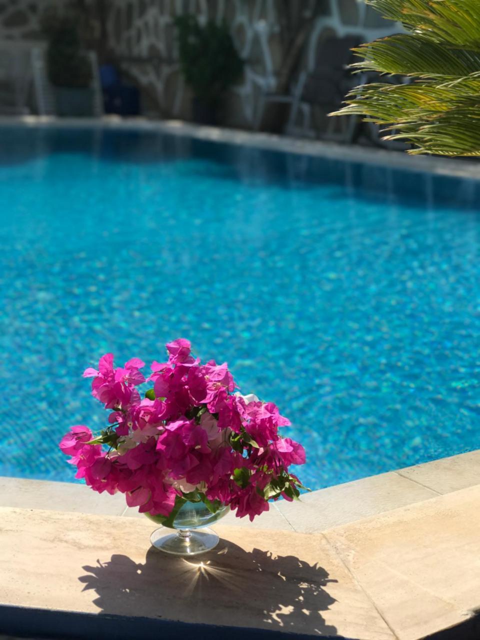ARTUNC — BODRUM — fotografie hotel nr. 12