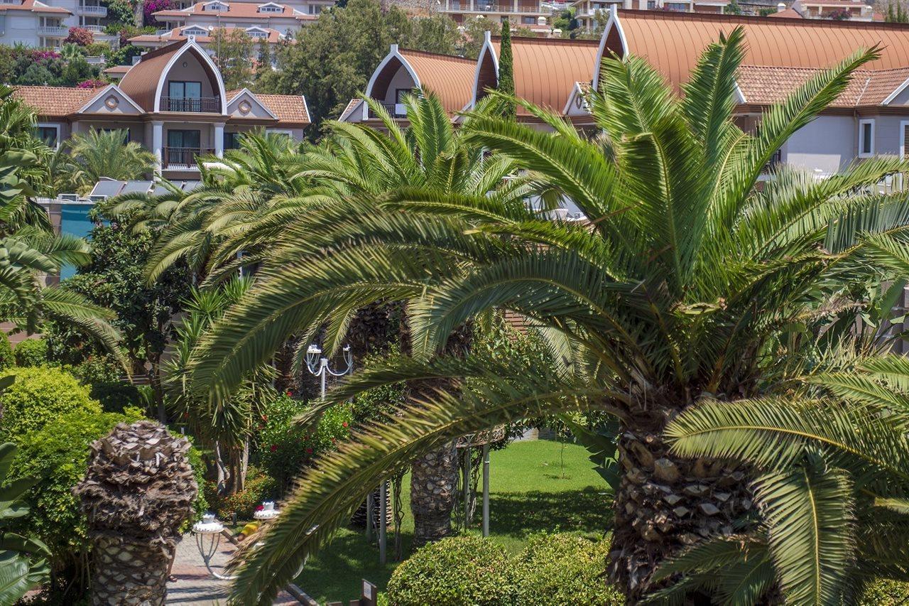 QUATTRO BEACH SPA & RESORT HOTEL — KONAKLI — фотография отеля №11