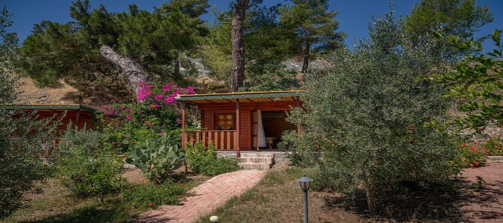 FELICITY HOTEL & BUNGALOWS — CAMYUVA — fotografie hotel nr. 35