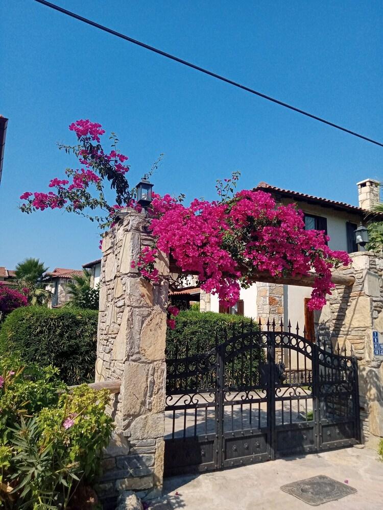 VILLA OLIVA HOUSES, SOUTHWEST OF TURKEY — DALYAN — фотография отеля №31