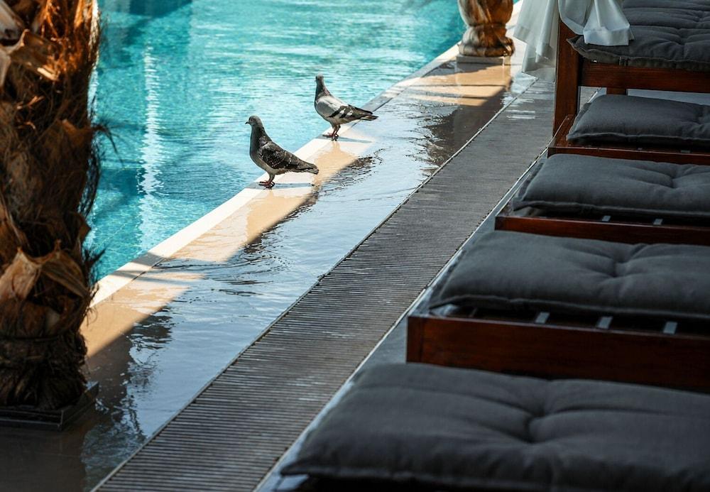 DAYS INN & SUITES BY WYNDHAM ESENYURT — ISTANBUL — fotografie hotel nr. 18