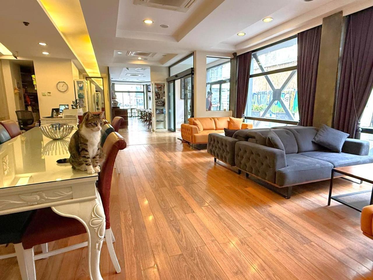 HOTELLINO — ISTANBUL — fotografie hotel nr. 3