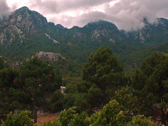 VERANO — MARMARIS — фотография отеля №13