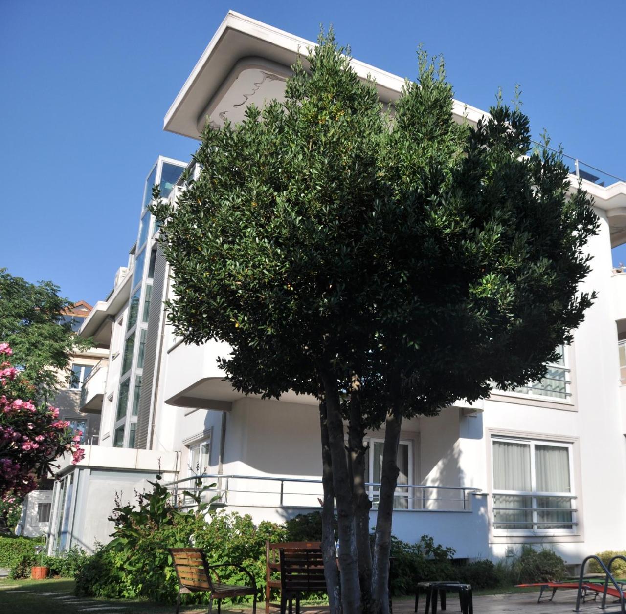 ISLAND HOTEL — ISTANBUL — fotografie hotel nr. 23