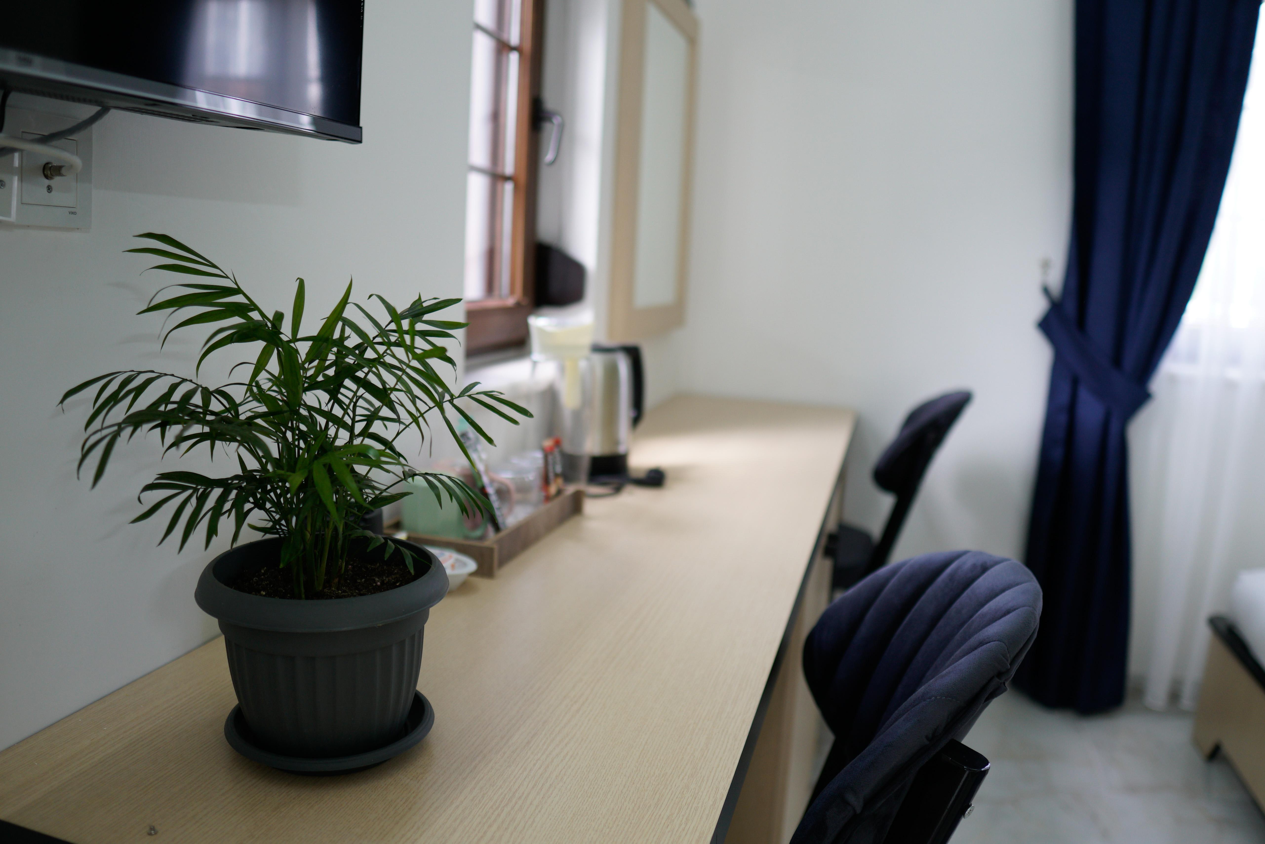VILLA HANIA (ADULTS ONLY) — SIDE — fotografie hotel nr. 25