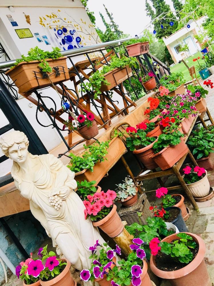 KUSADASI MURSEL PANSIYON — KUSADASI — fotografie hotel nr. 19