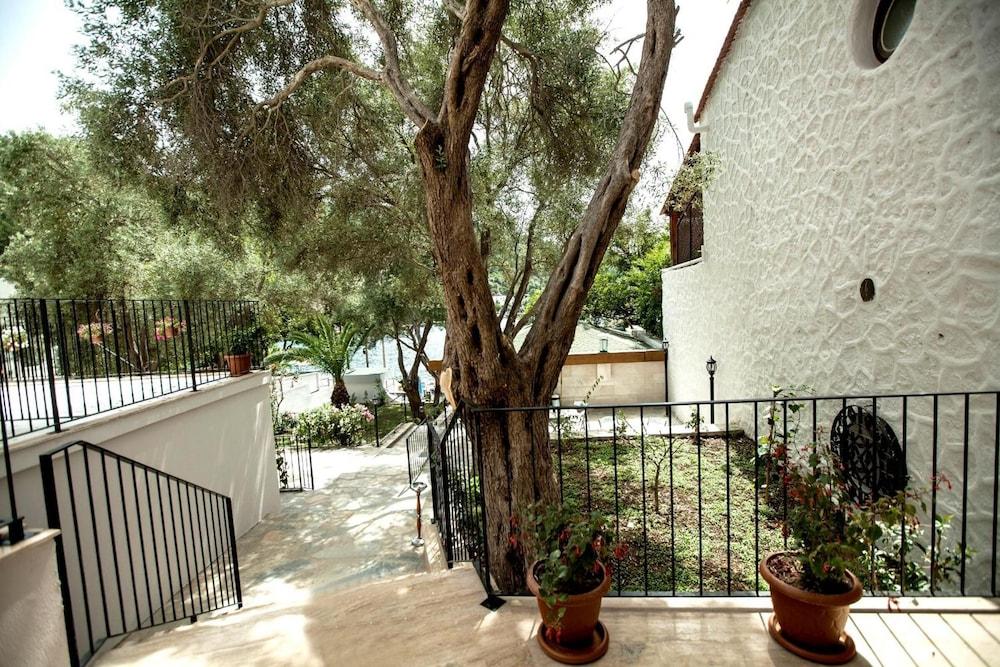 ZENA HOTEL BODRUM (ADULTS ONLY) — BODRUM — фотография отеля №12