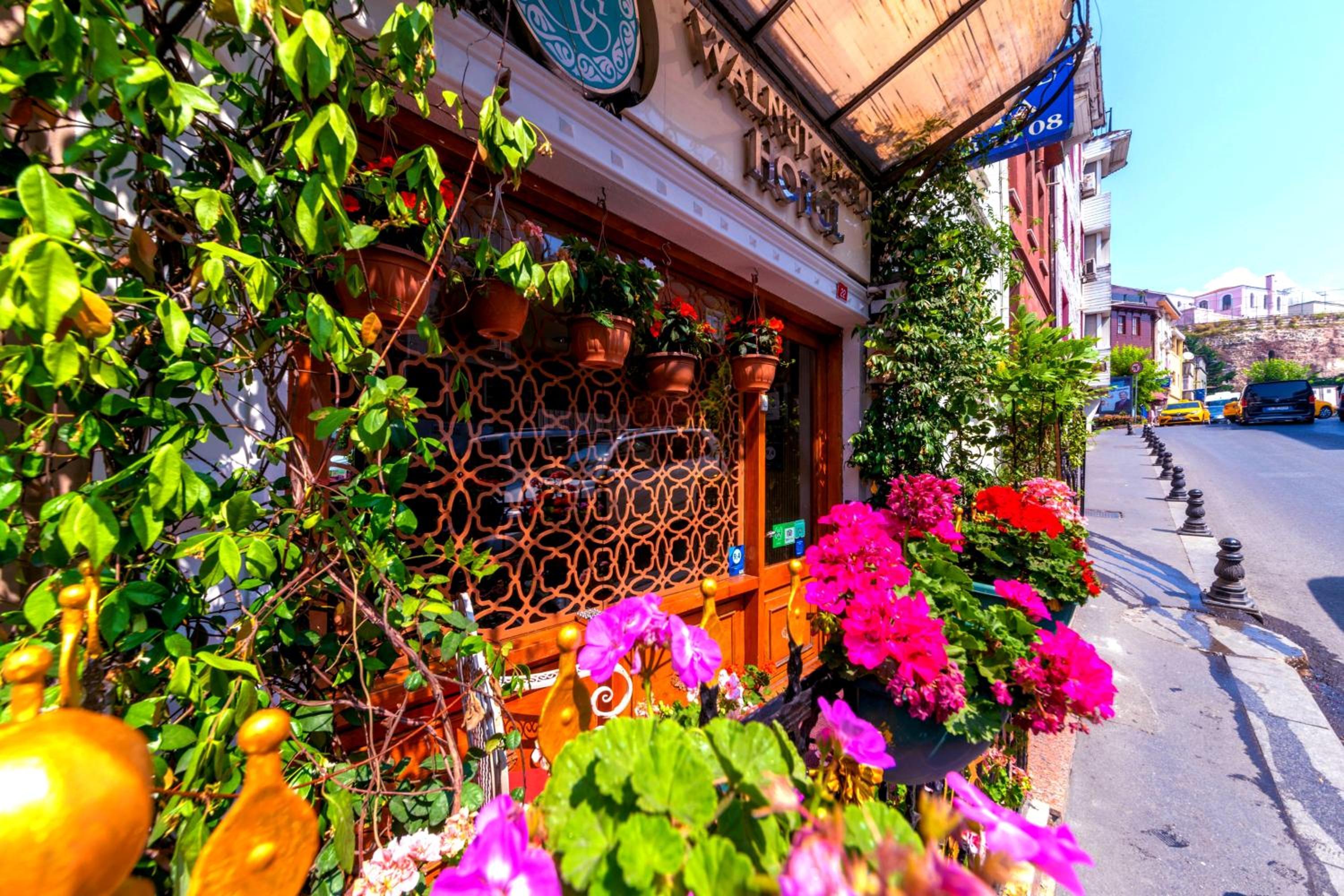 WALNUT SHELL HOTEL — ISTANBUL — фотография отеля №33