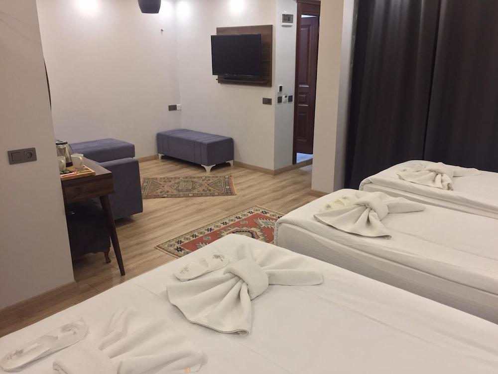 BASILISSIS HOTEL — ISTANBUL — фотография отеля №10