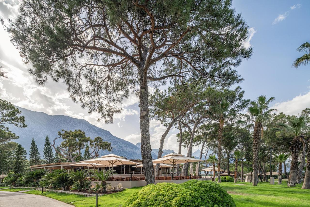 BALMY FORESTA — KEMER — фотография отеля №29