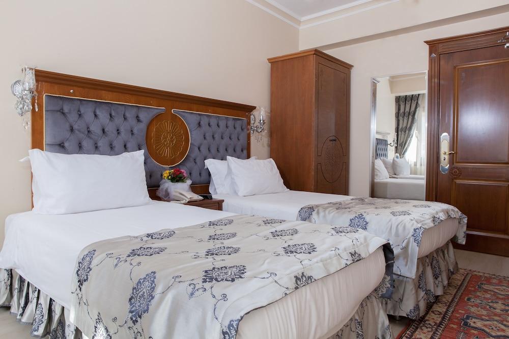 ALA SOFIA HOTEL — ISTANBUL — fotografie hotel nr. 3