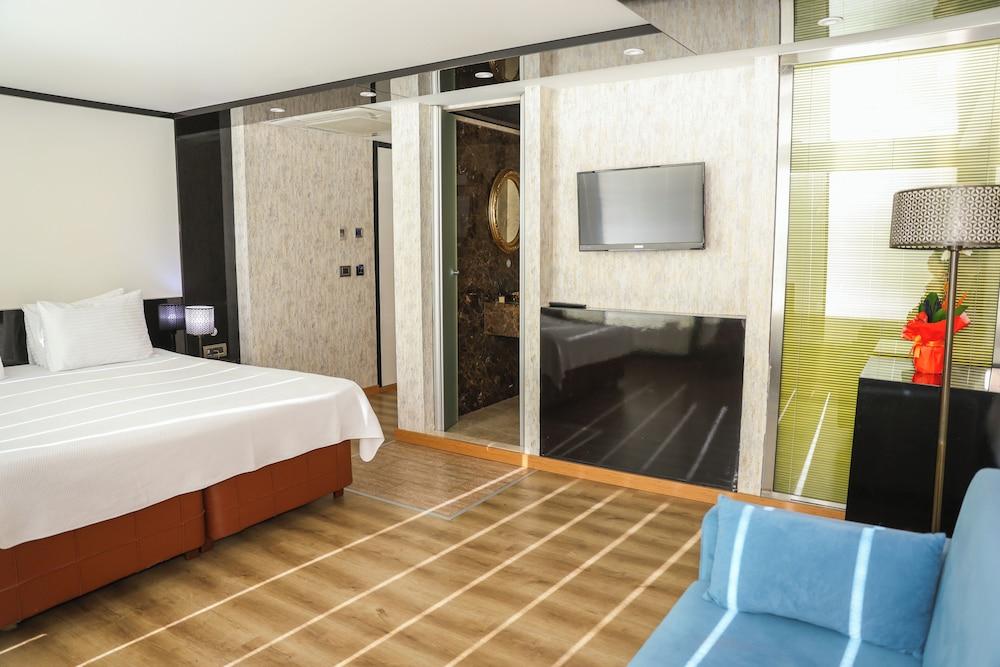 THE HERA PLATINUM HOTEL — ISTANBUL — fotografie hotel nr. 8