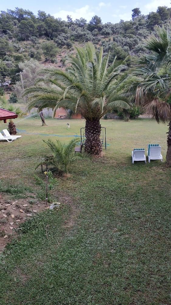 THE PALM APART SARIGERME — SARIGERME — fotografie hotel nr. 23
