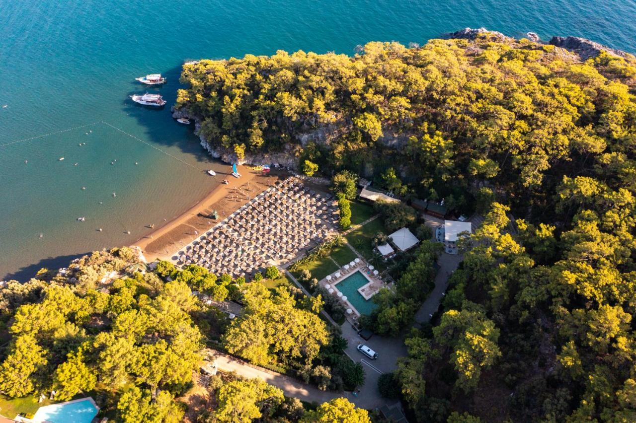 TUI BLUE SENO (ADULTS ONLY) — SARIGERME