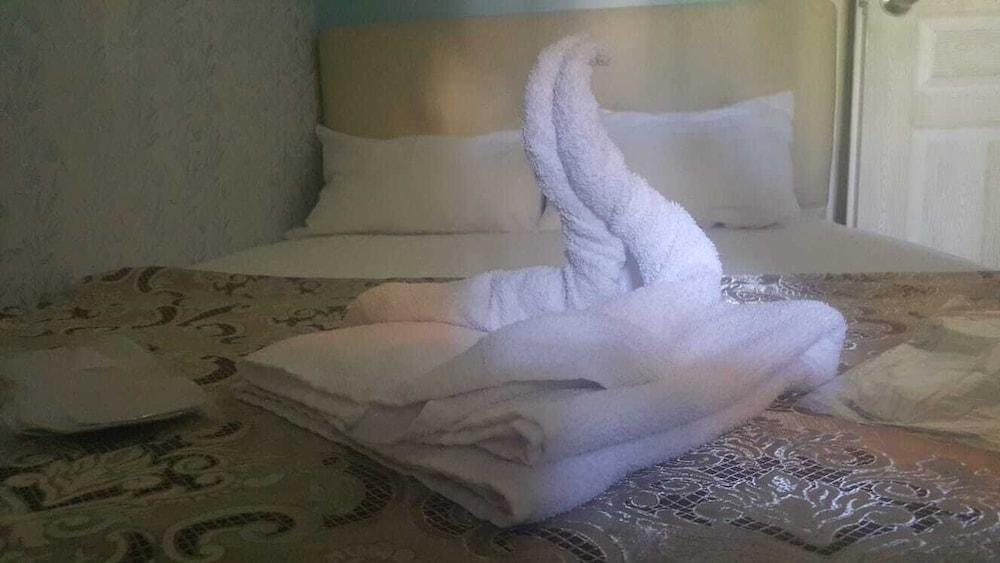 AYYILDIZLAR OTEL — ISTANBUL — fotografie hotel nr. 23