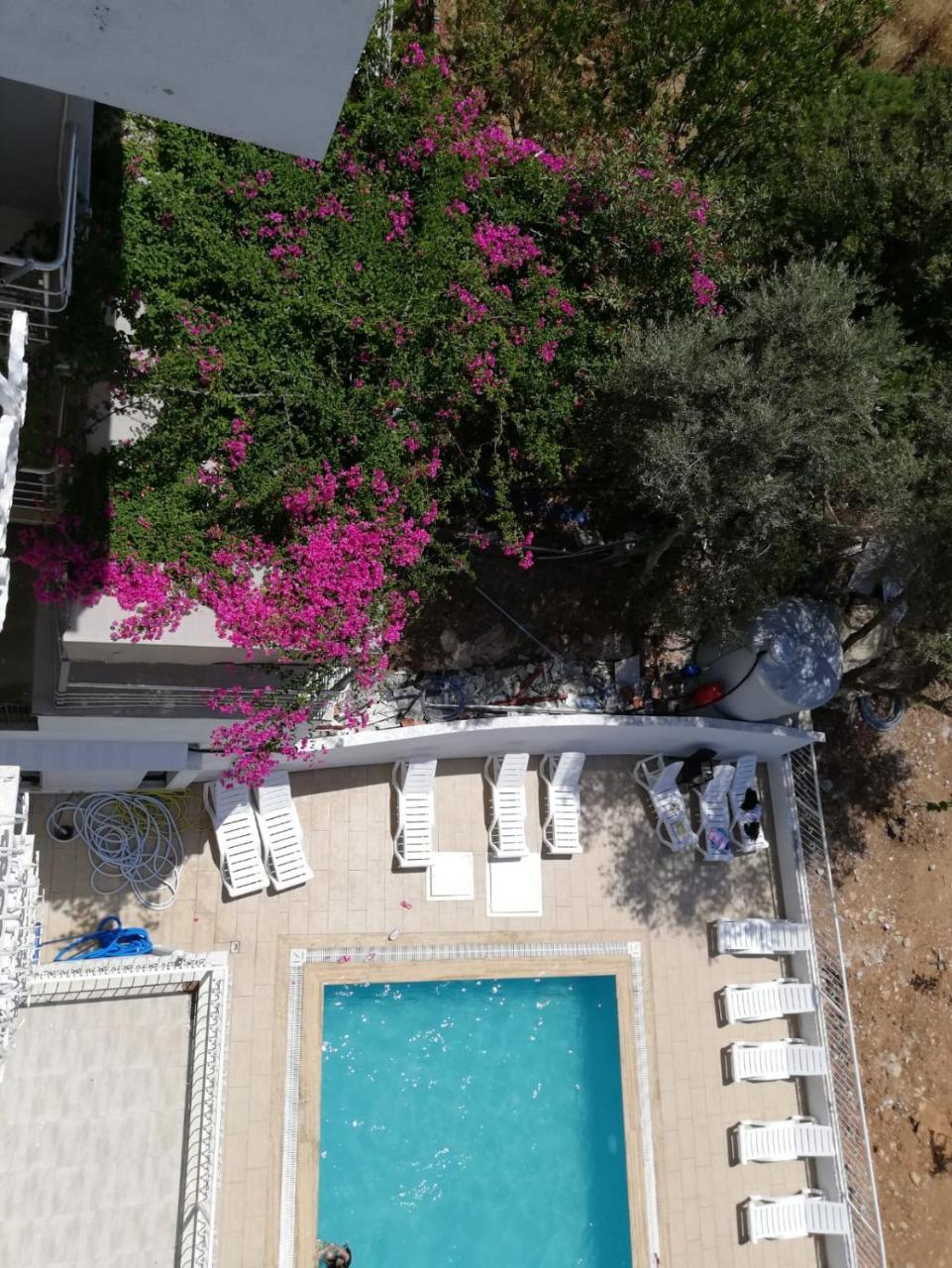 CICEK APART OTEL — DIDIM — fotografie hotel nr. 7