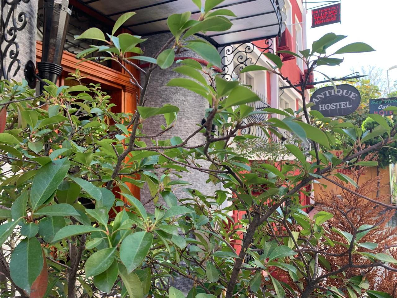 ANTIQUE HOSTEL — ISTANBUL — фотография отеля №7