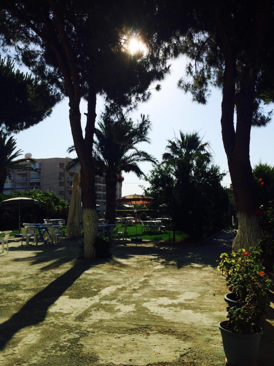 MAVIEV HOTEL — CESME — фотография отеля №26