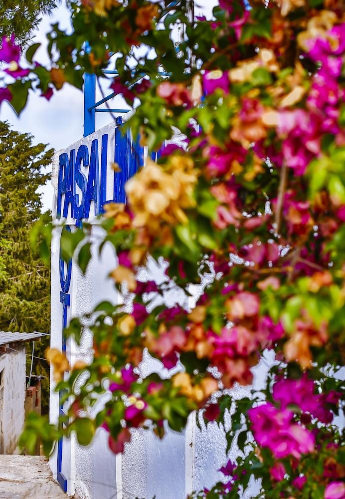 PASALIMANI HOTEL — CESME