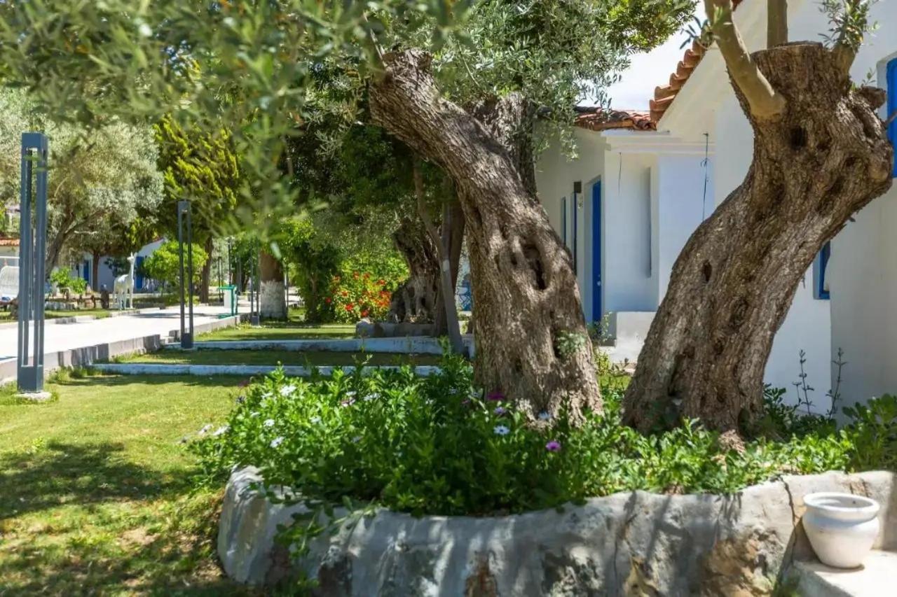 RISUS GARDEN HOTEL — KUSADASI — фотография отеля №29