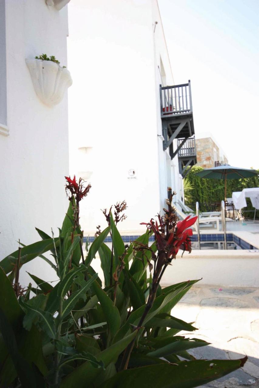 EMELCE APARTS — BODRUM — фотография отеля №17