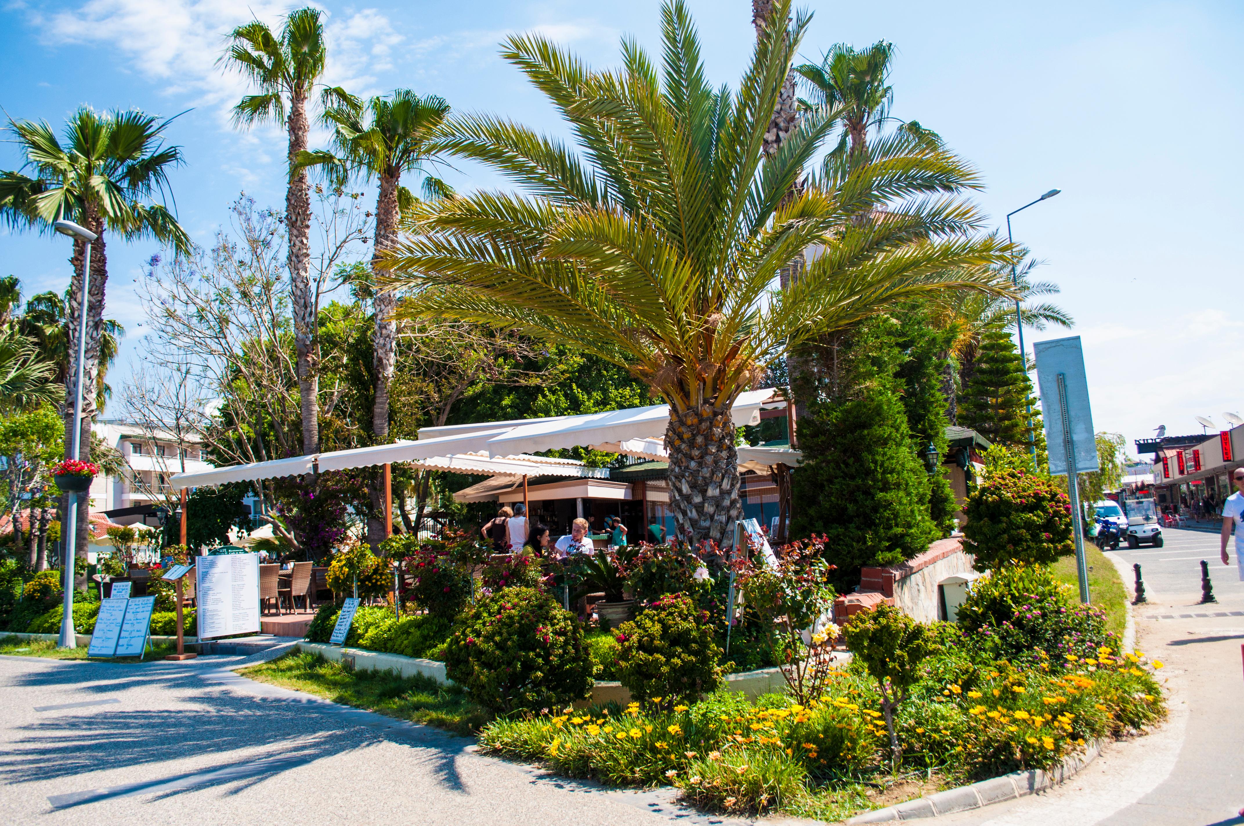 SIDE BAY HOTEL — SIDE — fotografie hotel nr. 16