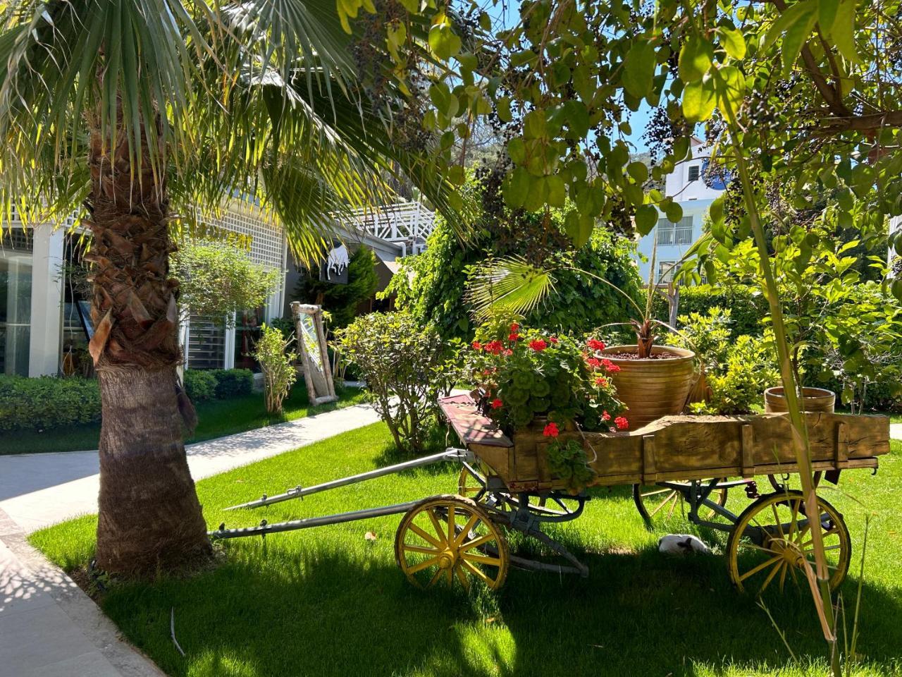 MARINA BOUTIQUE FETHIYE HOTEL — FETHIYE — fotografie hotel nr. 29