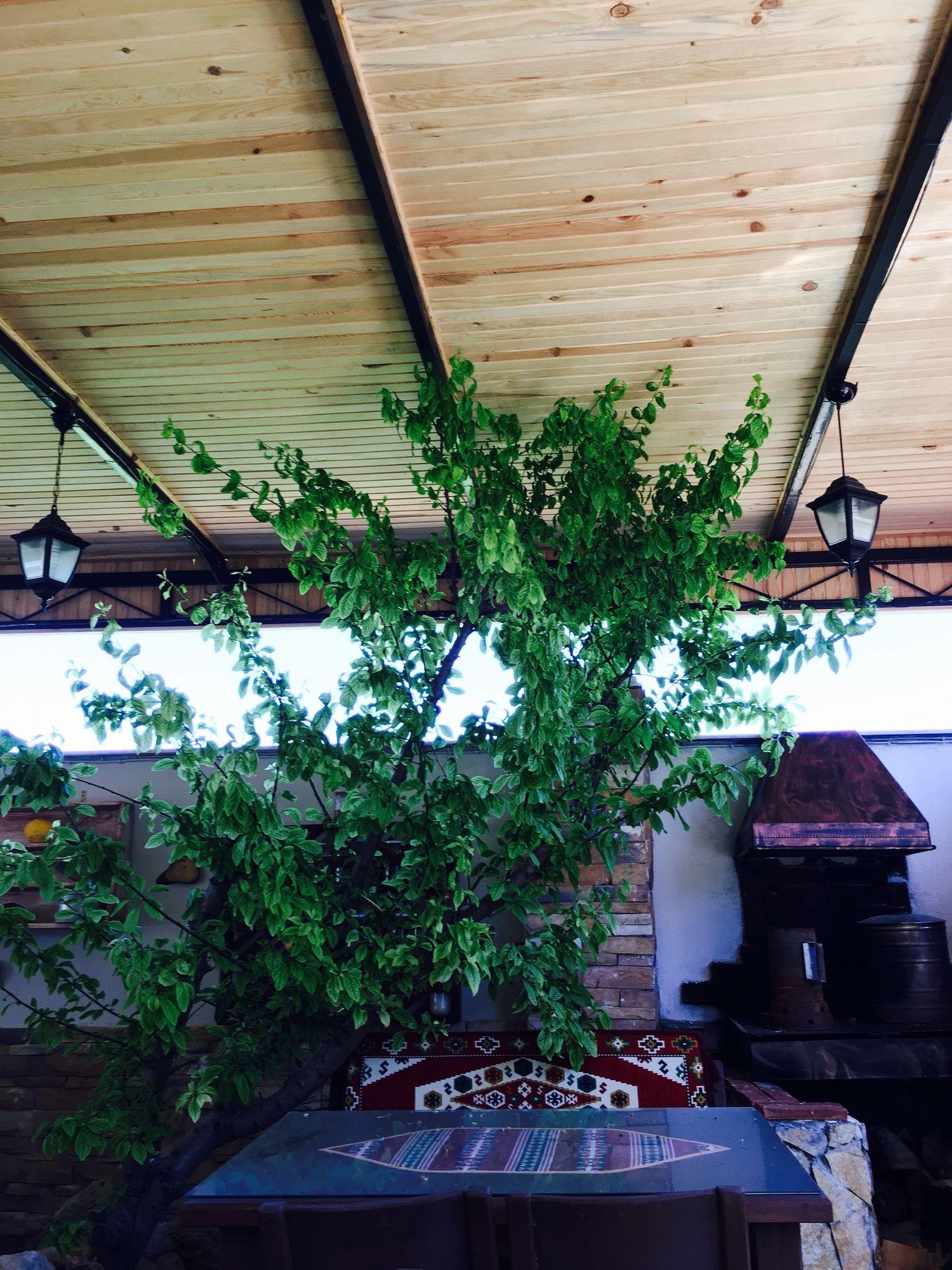 CESME ADA BUTIK OTEL — CESME — fotografie hotel nr. 22