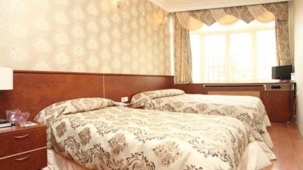 TURVAN HOTEL — ISTANBUL — фотография отеля №4