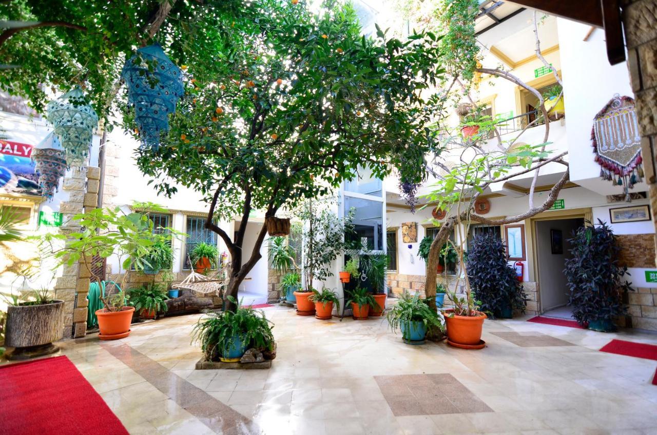 SEVIN HOTEL PANSIYON — BODRUM — fotografie hotel nr. 13