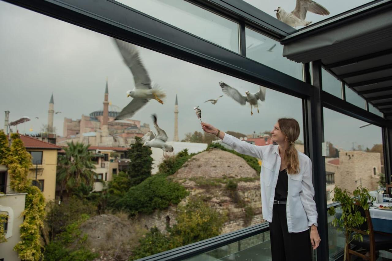 VILLA SOFIA HOTEL — ISTANBUL — фотография отеля №3