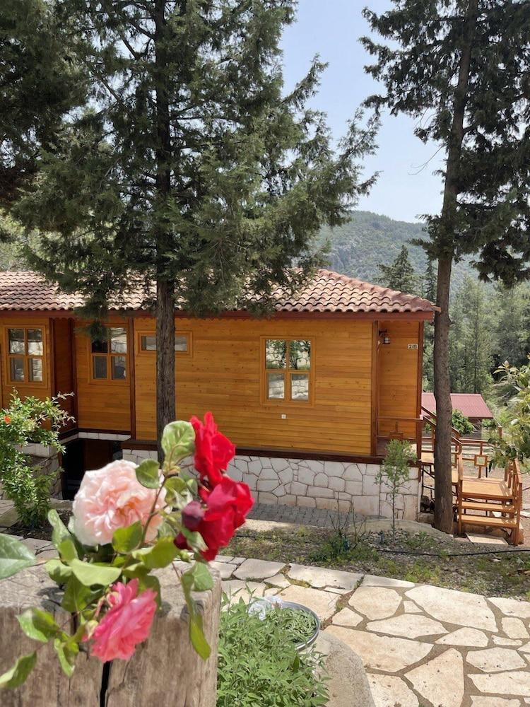 TRINITYS ULUPINAR — KEMER — фотография отеля №14