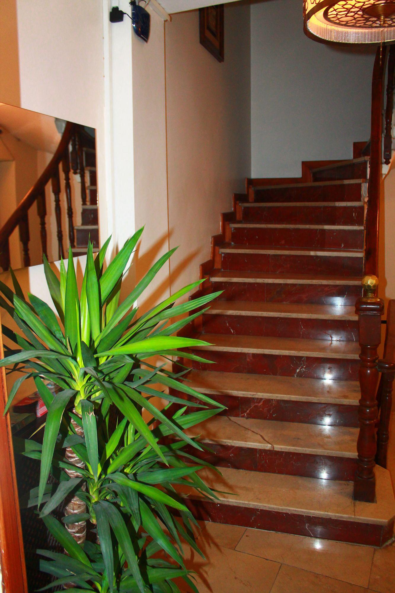 LIVA SUITE HOTEL — ISTANBUL — fotografie hotel nr. 30