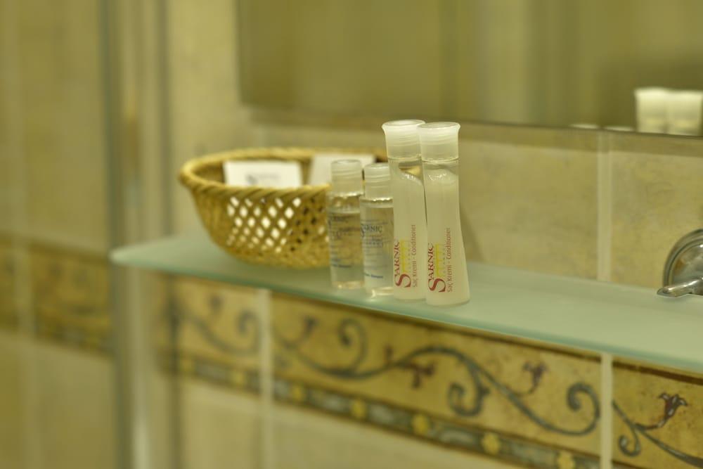 SARNIC PREMIER HOTEL — ISTANBUL — фотография отеля №18