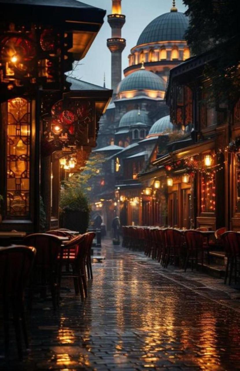 LA PAZZA SUITES — ISTANBUL — фотография отеля №11
