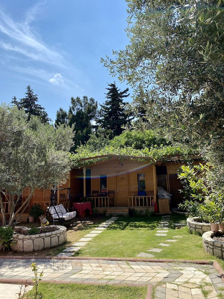 CILEK BUTIK OTEL — CESME — fotografie hotel nr. 22