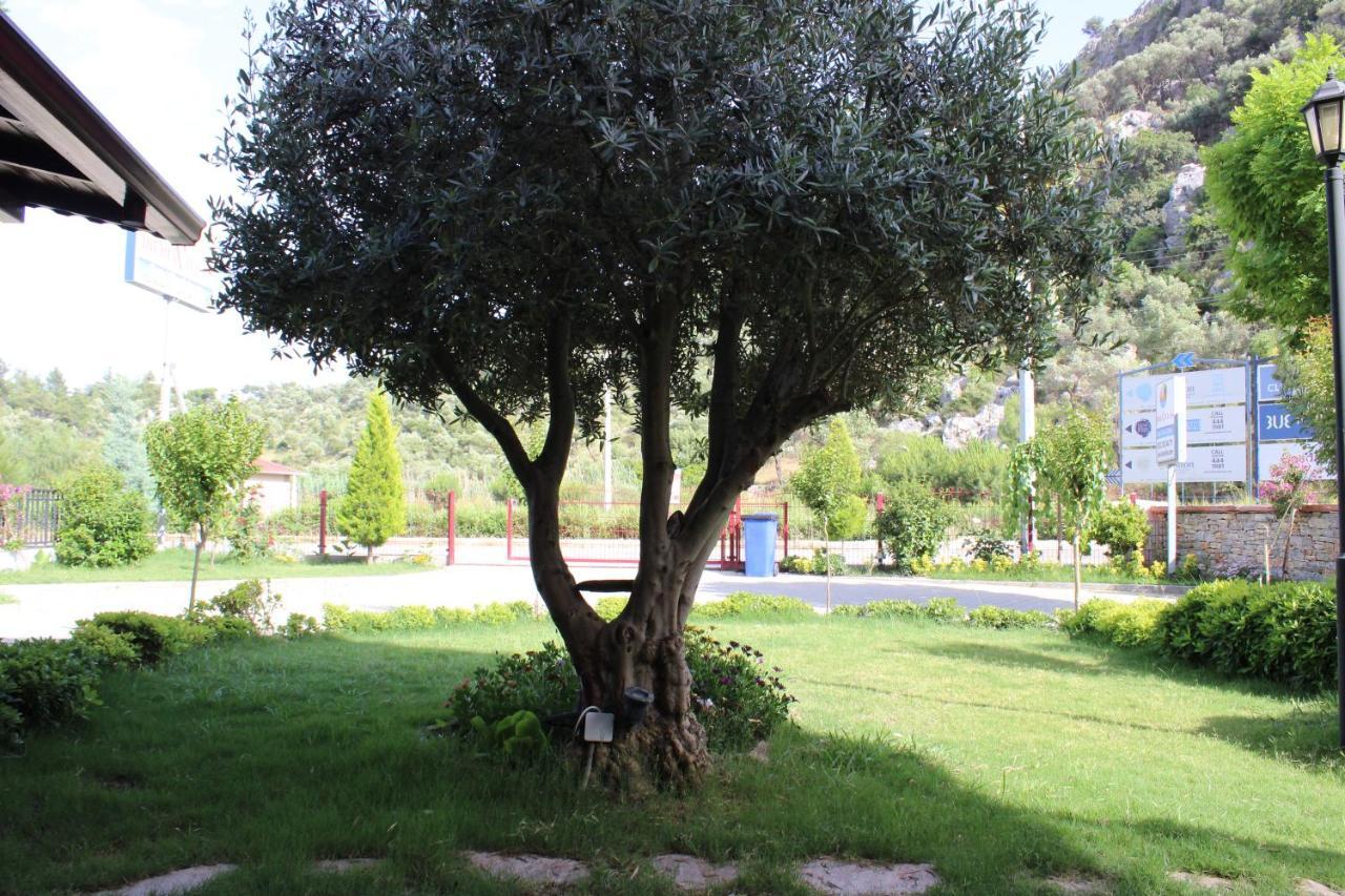 IBERIA VILLAS — SARIGERME — фотография отеля №27