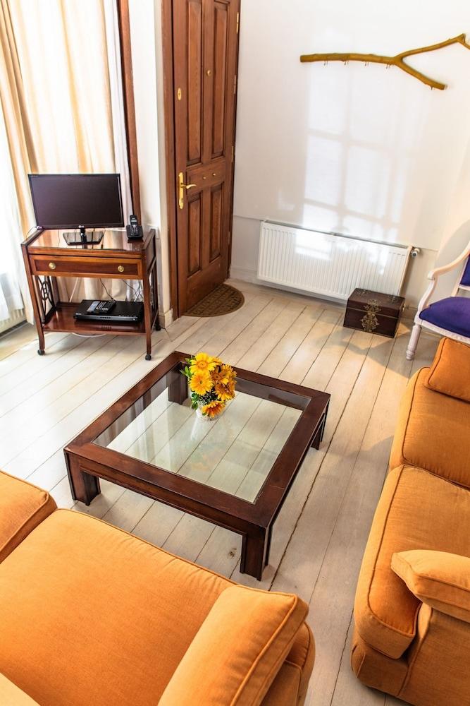 LOVELY APARTMENT, SULTAN AHMET, OLD PART ISTANBUL — ISTANBUL — фотография отеля №17