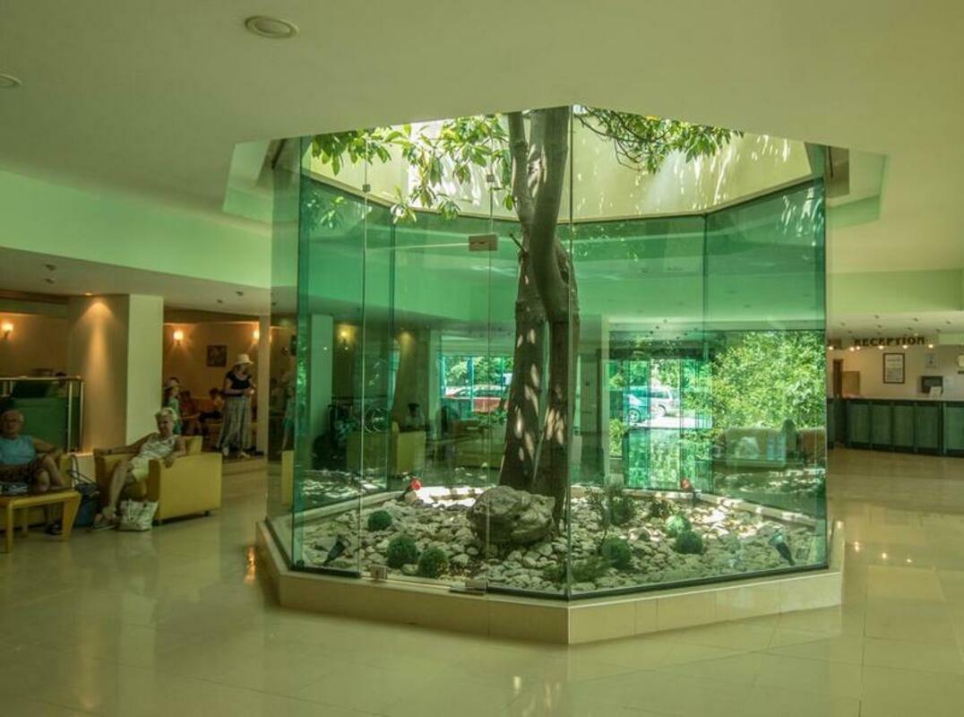 MAGNOLIA CLUB HOTEL — CHAIKA PISATEL — фотография отеля №15