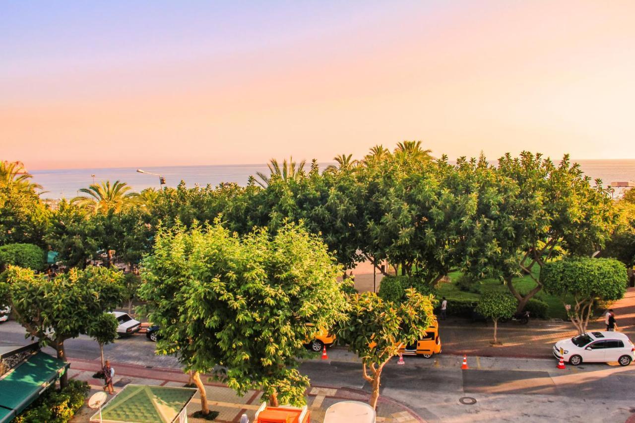 AYSEV HOTEL — ALANYA — фотография отеля №8