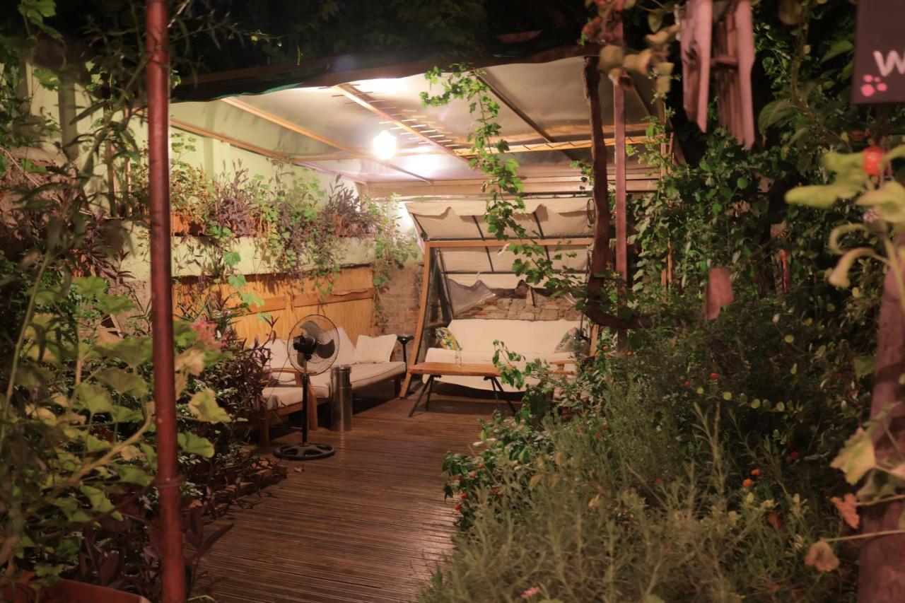 LOTUS GARDEN HOSTEL — IZMIR — фотография отеля №30